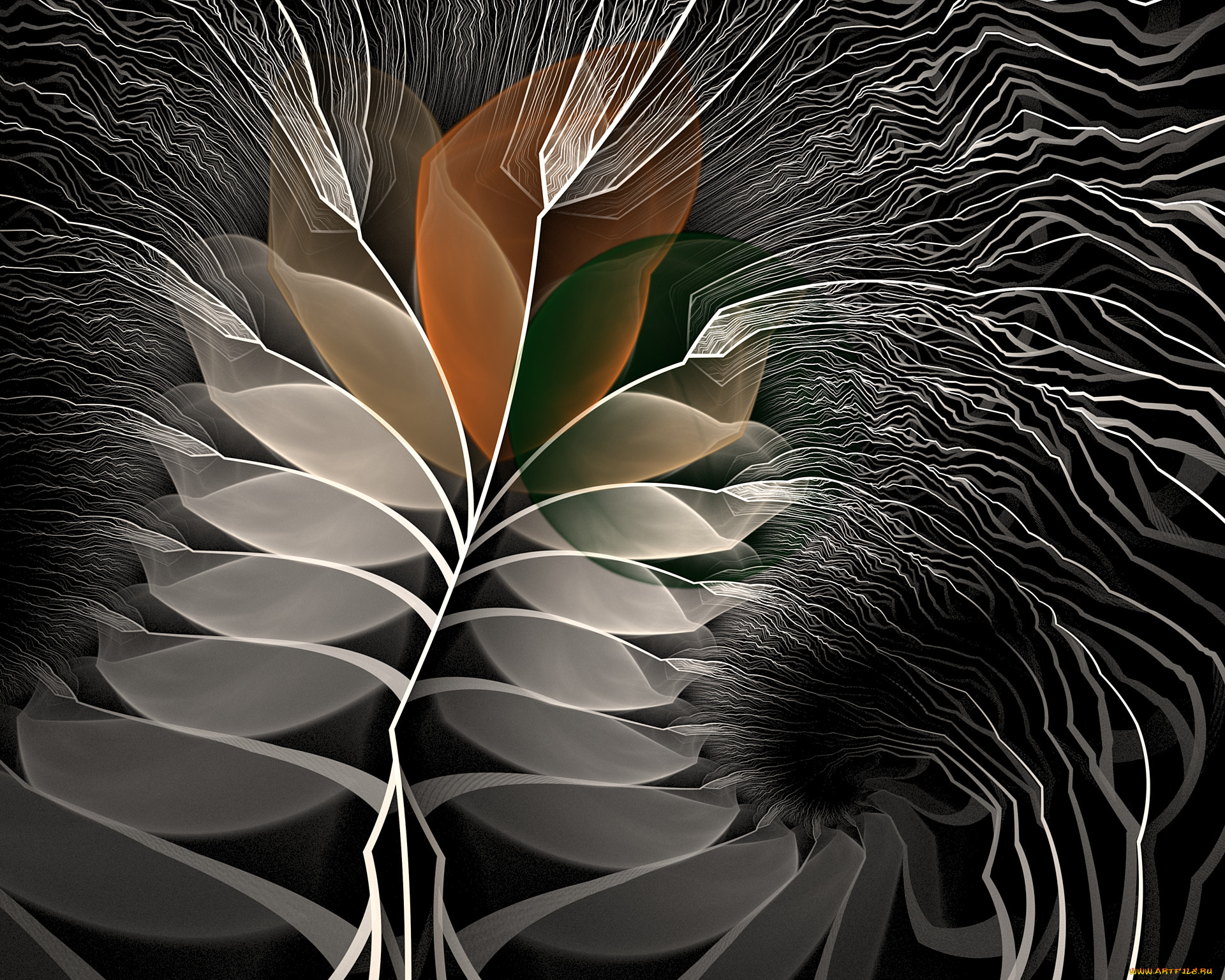 3 ,  , fractal, , , 